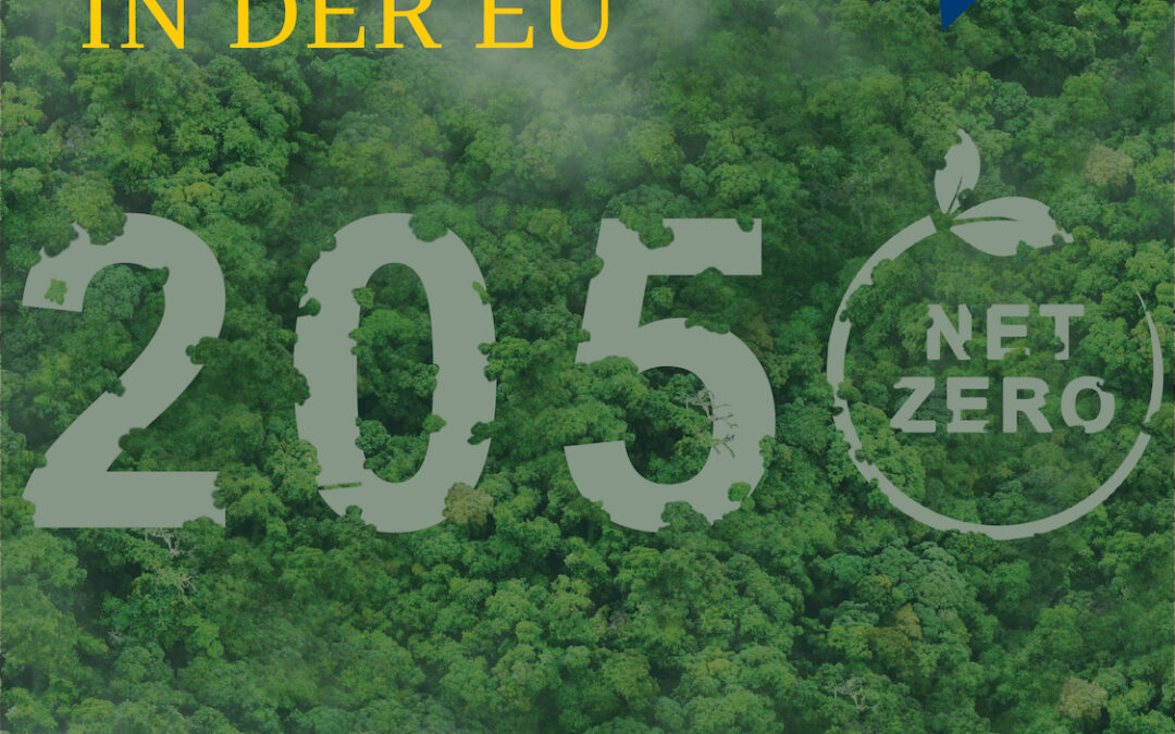 TALKING EUROPE 5 – Diskutier Mit Mir über Europa | Klimawende in der EU – was bringt der European Green Deal?
