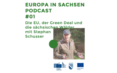 Europa in Sachsen #01: Die EU, der Green Deal und die sächsischen Wälder mit Stephan Schusser