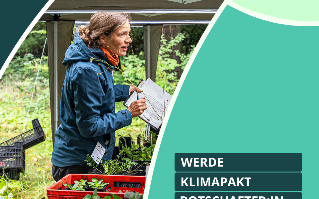 Noch bis zum 31.10. als Klimapakt-Botschafter:in bewerben!